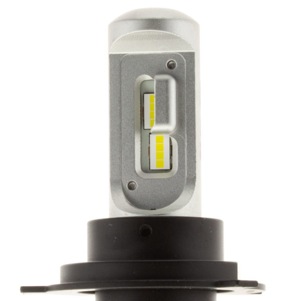 VCm3-Bulb-Close VCm3-Bulb-Close
